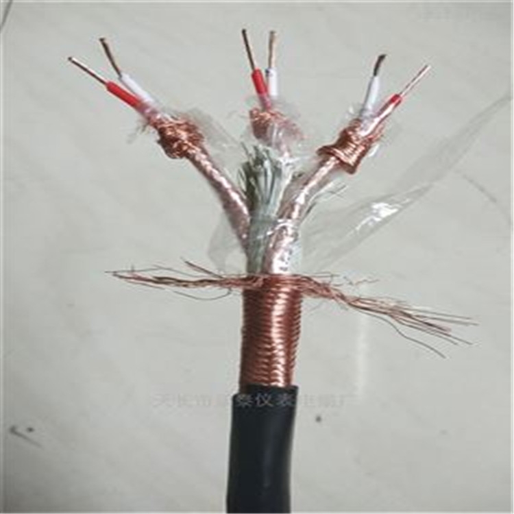 DJFPFRP高温计算机电缆 2对电缆4芯