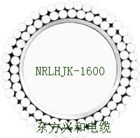 2X(NRLHJK-1600)֧