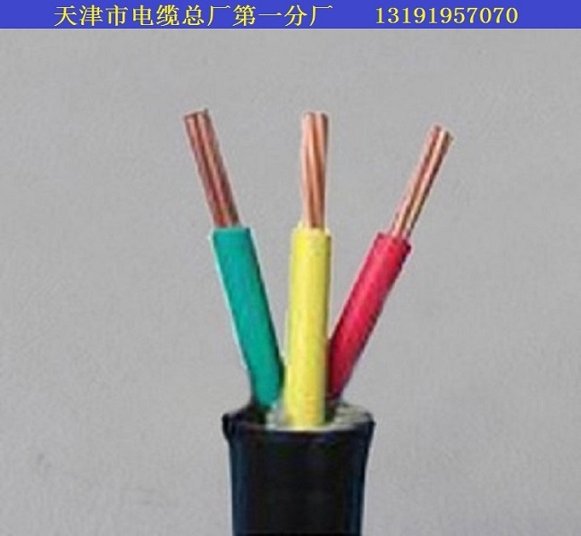 肥东TL-WDZC-KYVR22电缆